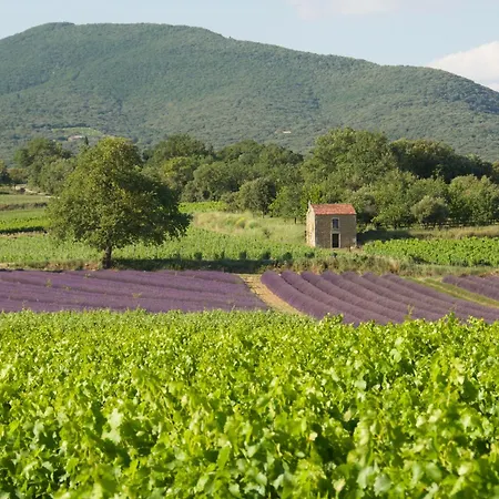 Chateau De Jalle Bed & Breakfast *
